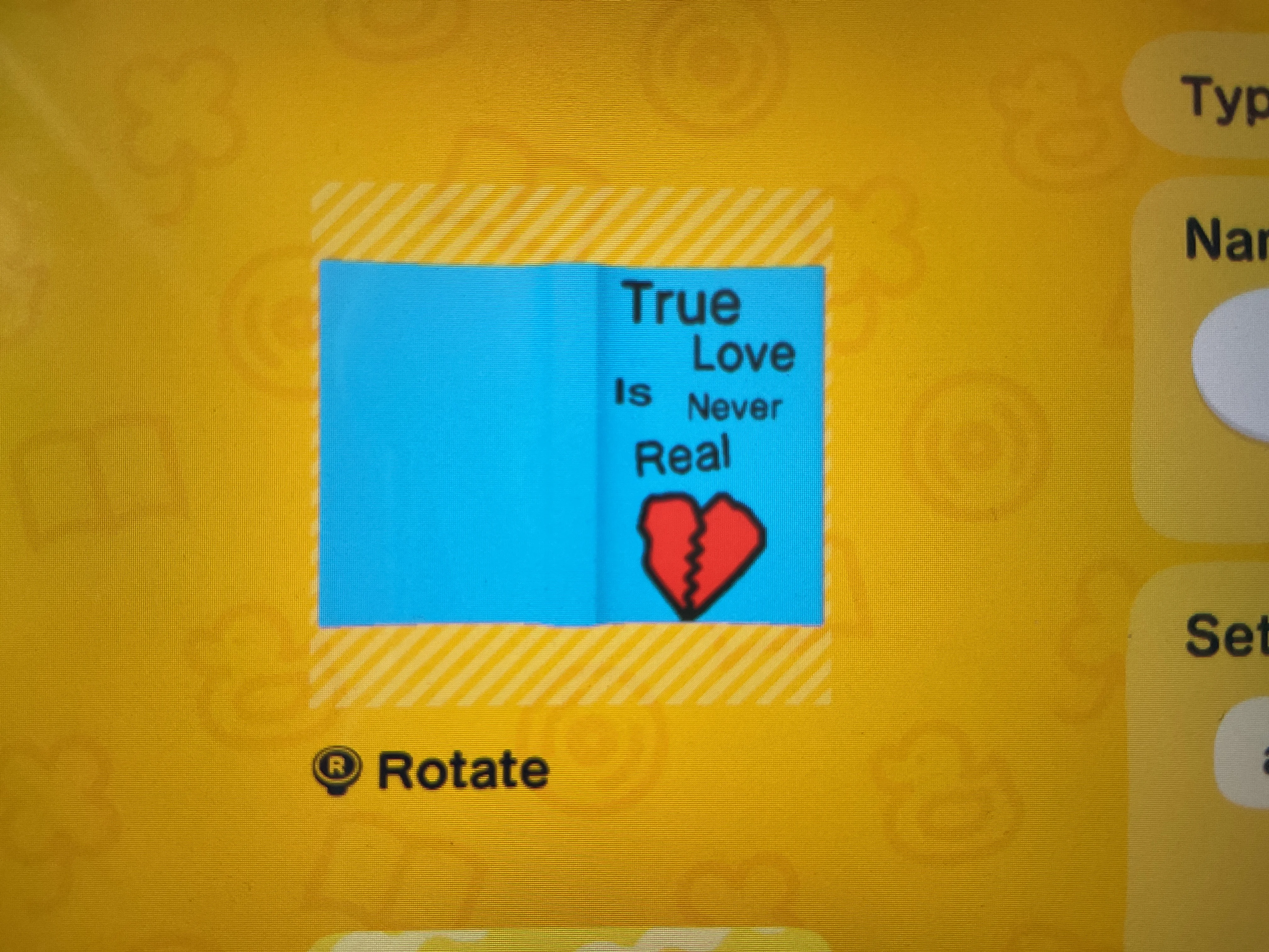 This book is called “True Love Is Never Real” and me and friend wrote this and are writing a sequel