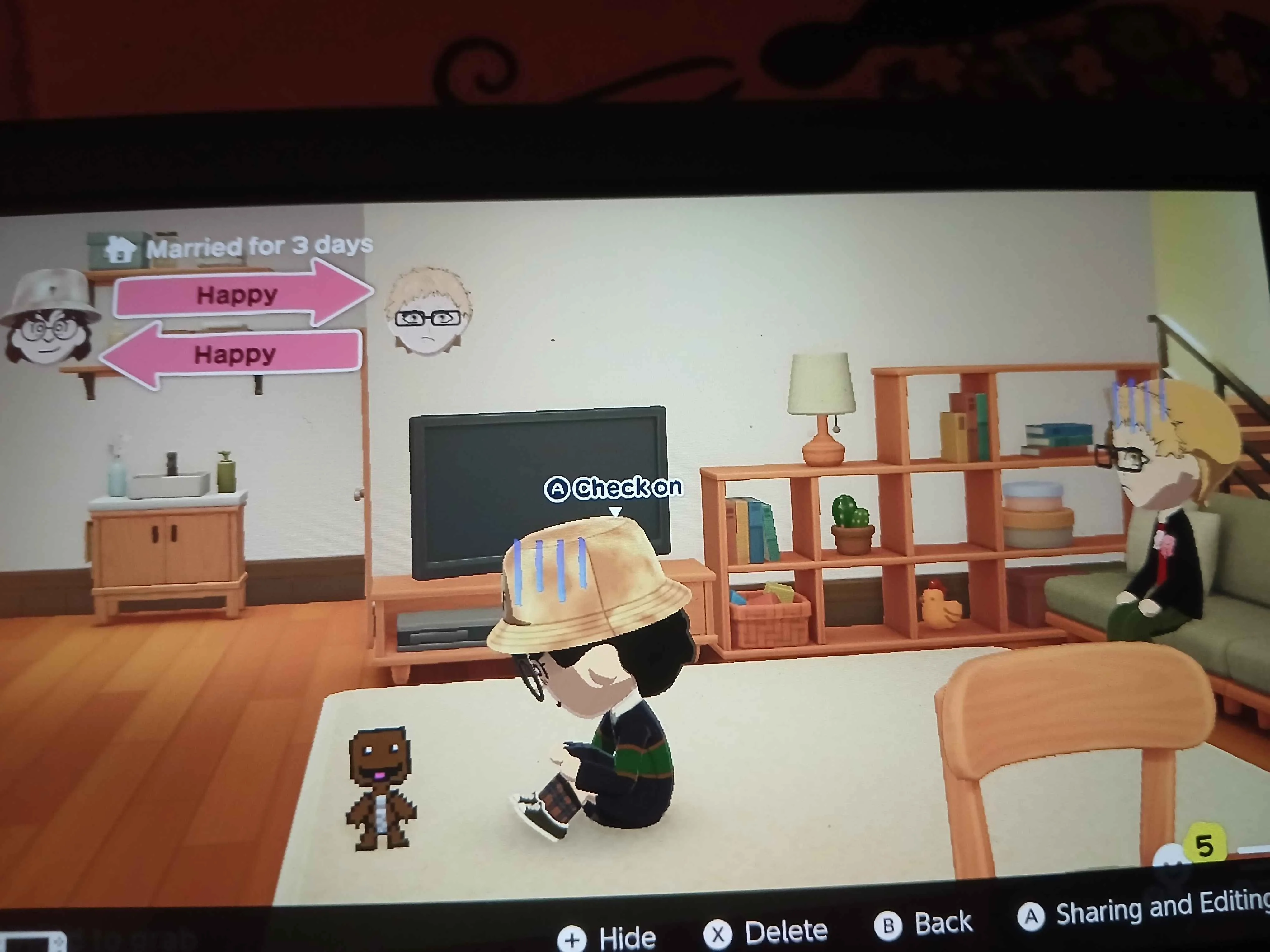 sackboy