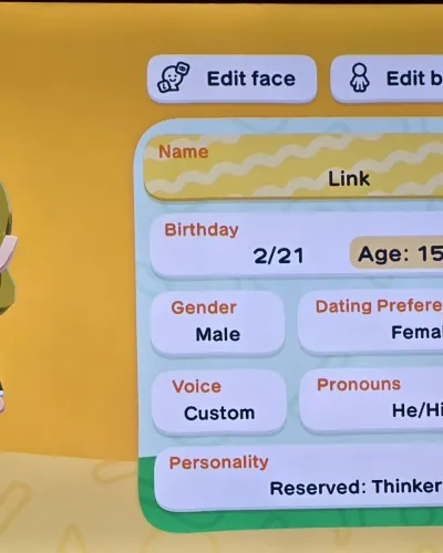 Mii-Porträt von Link