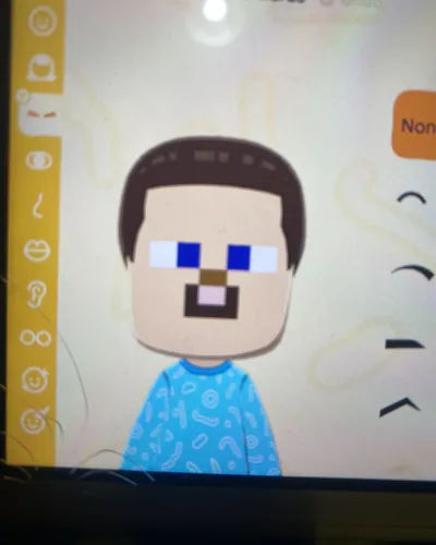 Mii portrait of Steve