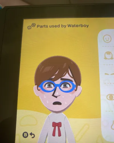 Mii-Porträt von Waterboy