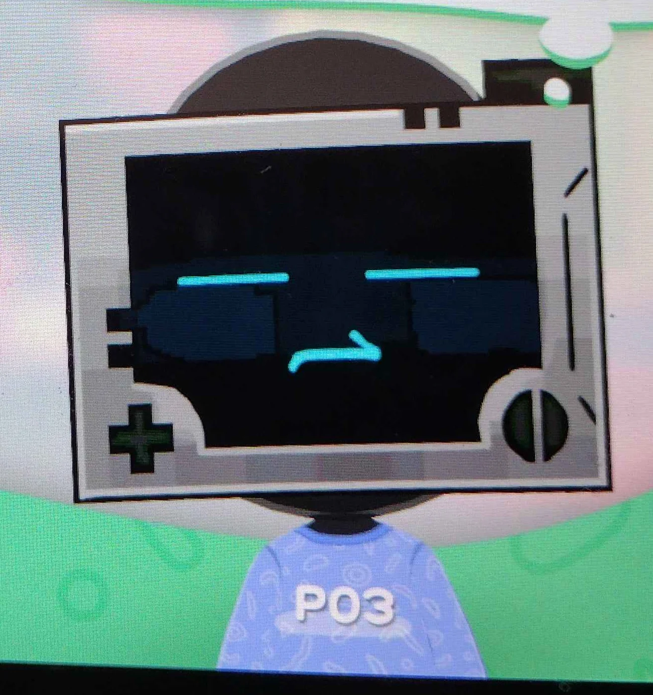 P03