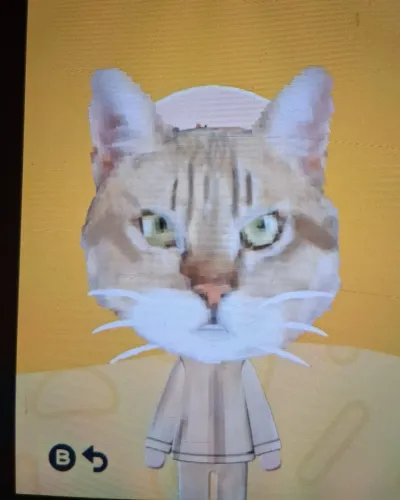Mii-Porträt von Cat