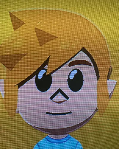 Mii-Porträt von Link (Echoes of Wisdom)