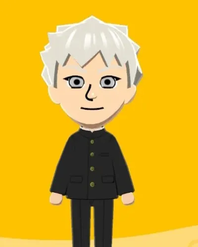 Mii-Porträt von Hikaru