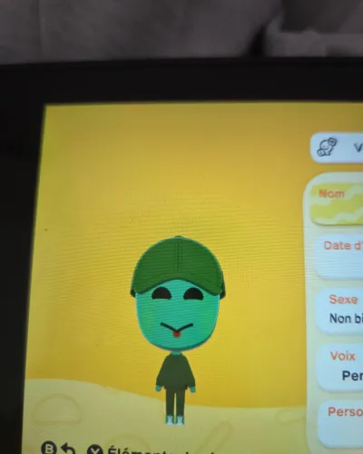 Mii-Porträt von My Tortoise Dora