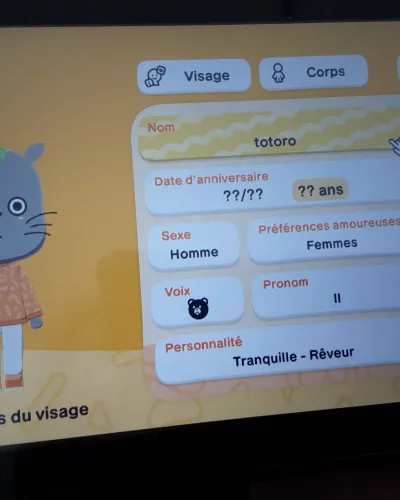 Mii portrait of Totoro