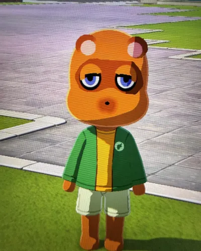 Mii-Porträt von Tom Nook