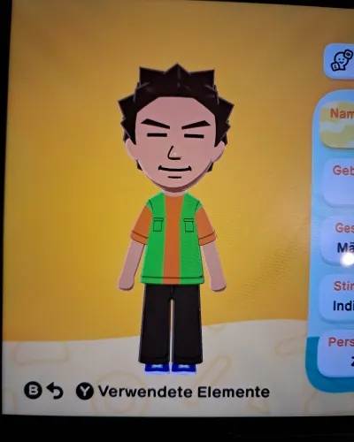 Mii portrait of Rocko / Brock