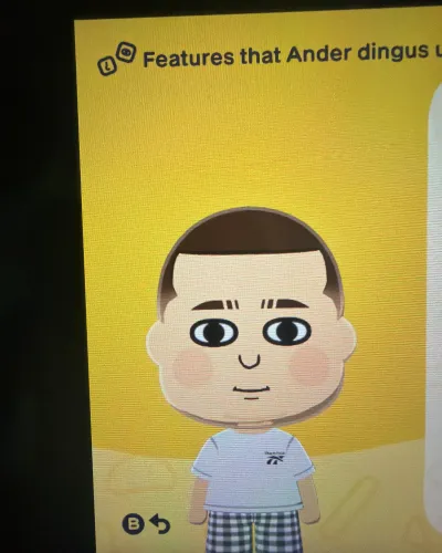 Mii-Porträt von Ander dingus