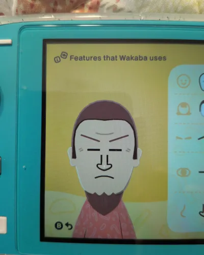 Mii-Porträt von Wakaba Mine