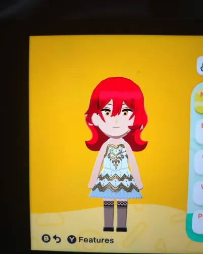 Mii portrait of Himeko