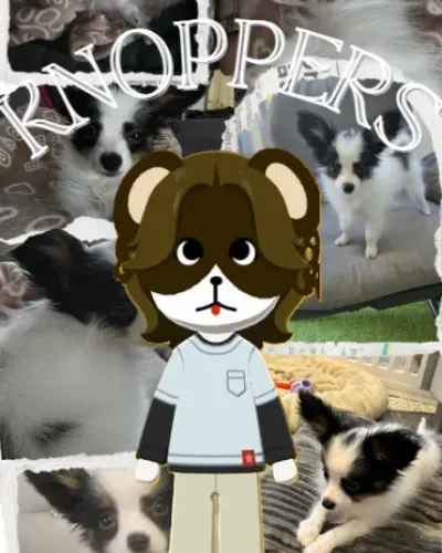Mii portrait of Knoppers (my sweet Dog :) breed: Papillon)
