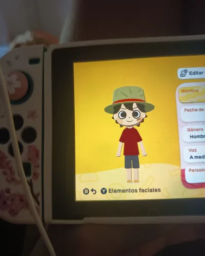 Mii-Porträt von Luffy