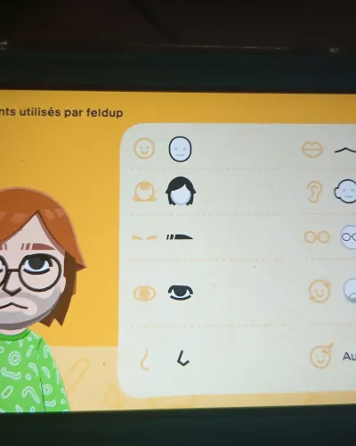 Mii portrait of Feldup