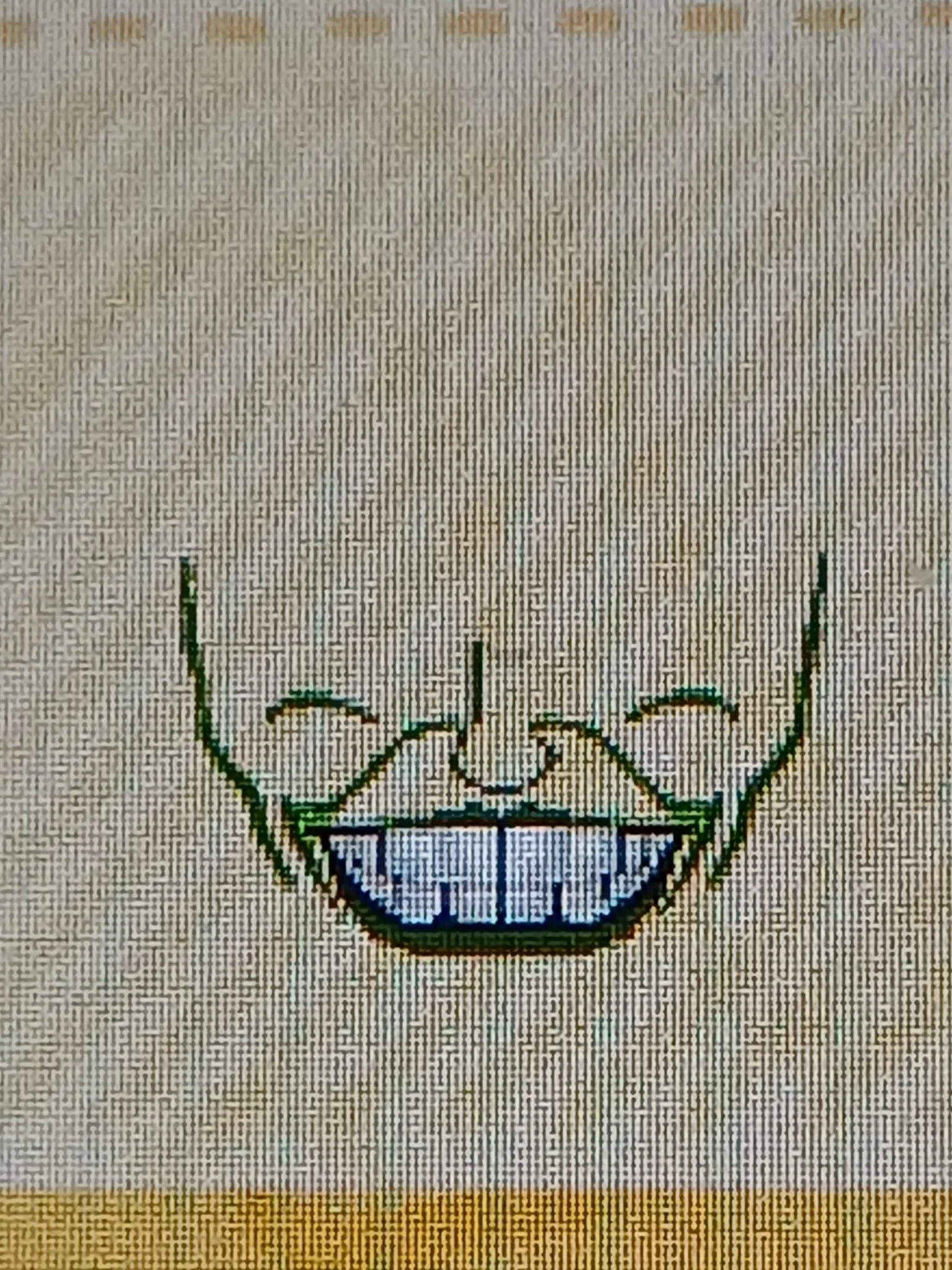 Face paint
