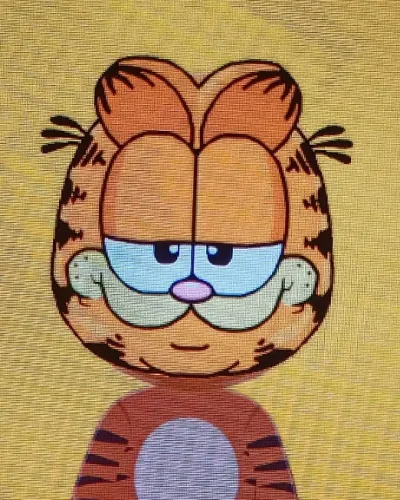 Mii-Porträt von Garfield