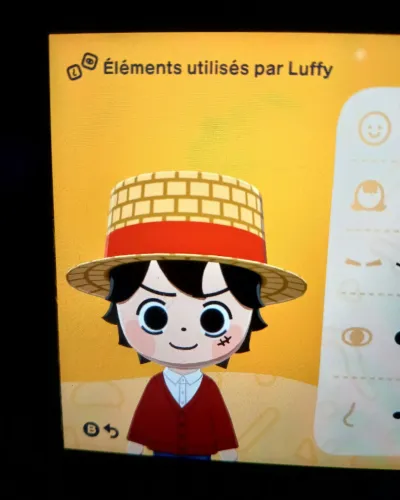 Mii-Porträt von Luffy