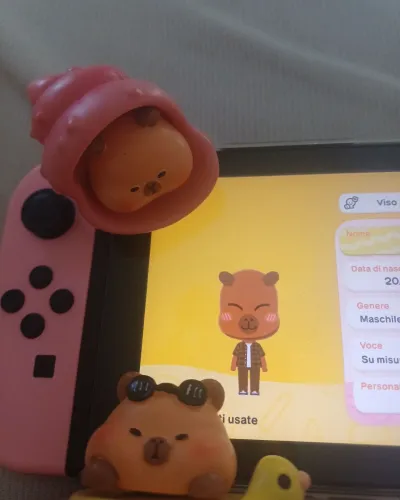 Mii-Porträt von Capibara
