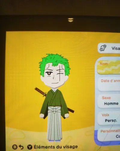 Mii-Porträt von Zoro