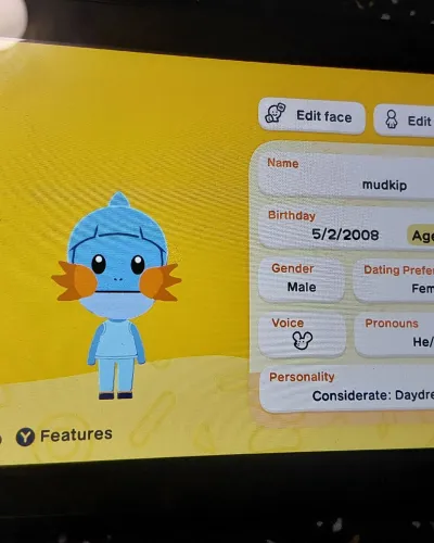 Mii-Porträt von Mudkip