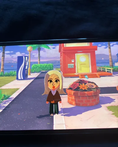 Mii portrait of chenai
