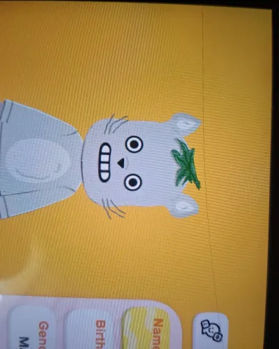 Mii-Porträt von Totoro