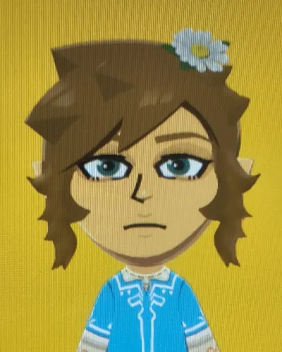 Mii-Porträt von Link