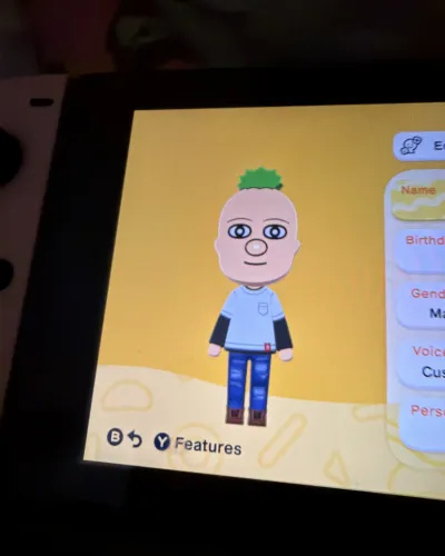 Mii-Porträt von Ferb