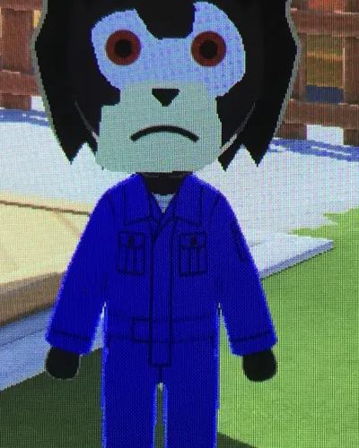 Mii-Porträt von Shadow