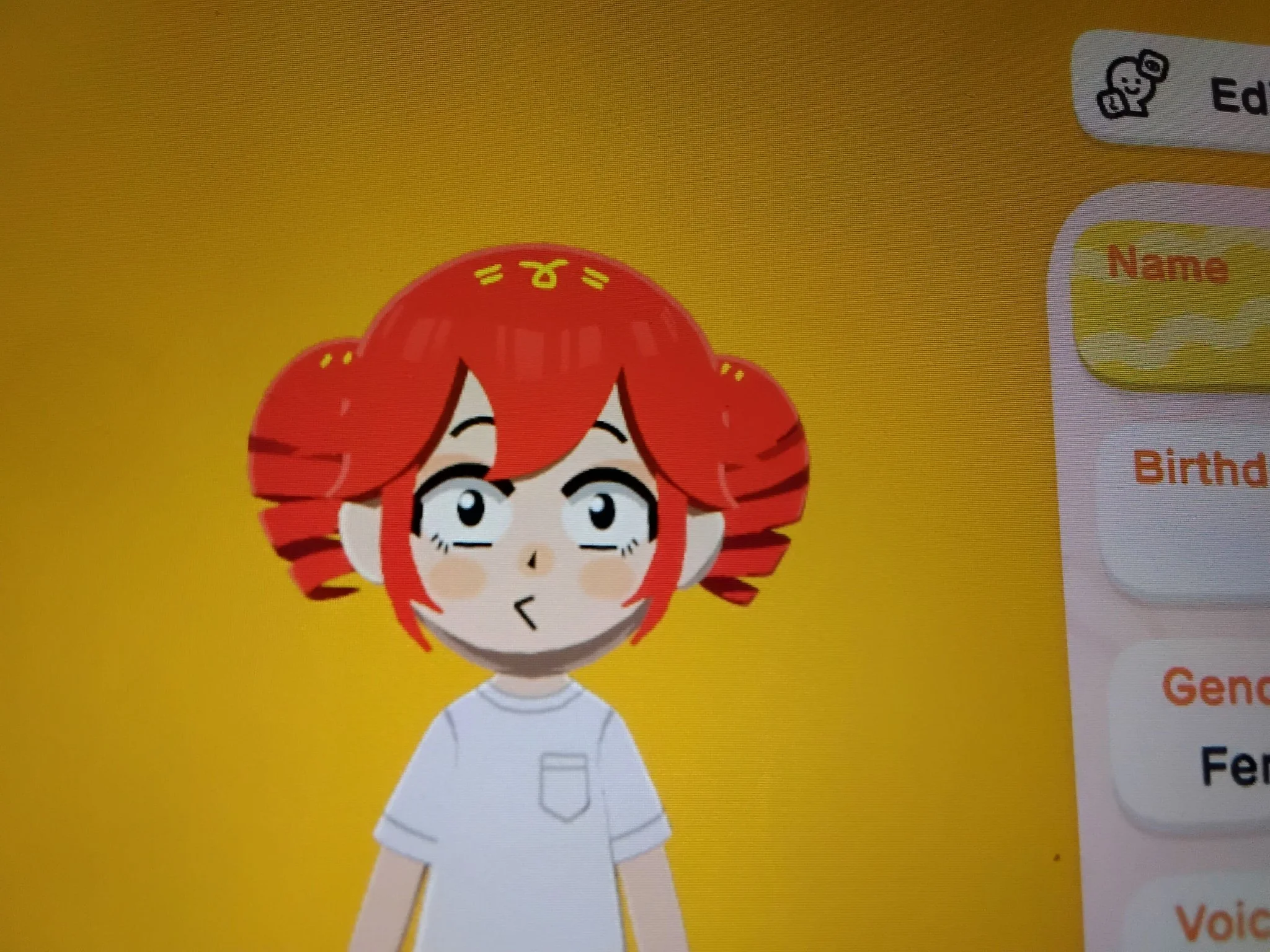 Birdbrain teto